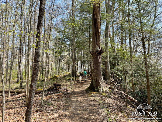 Hiking in Caledonia State Park