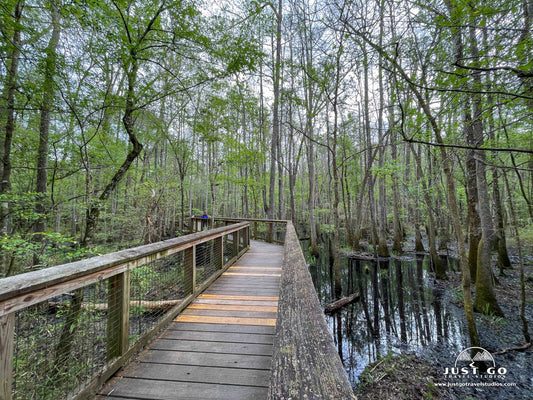 what to see and do in congaree national park