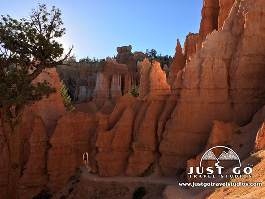 Best National Park Shows, Documentaries and Web Series