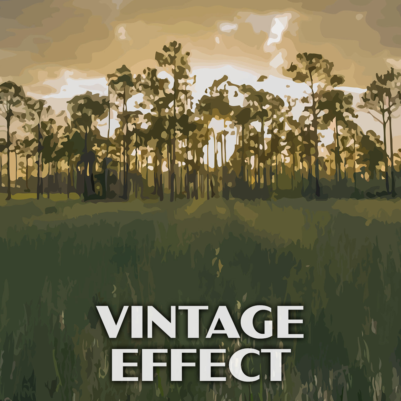 Big Cypress National Preserve Poster - WPA (Birdon Road)