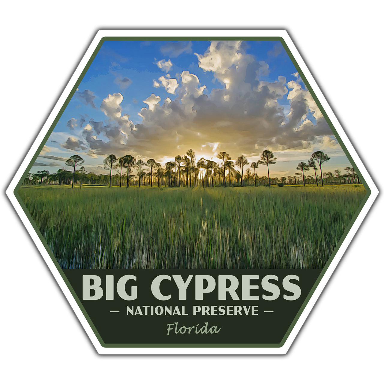 Big Cypress National Preserve sticker