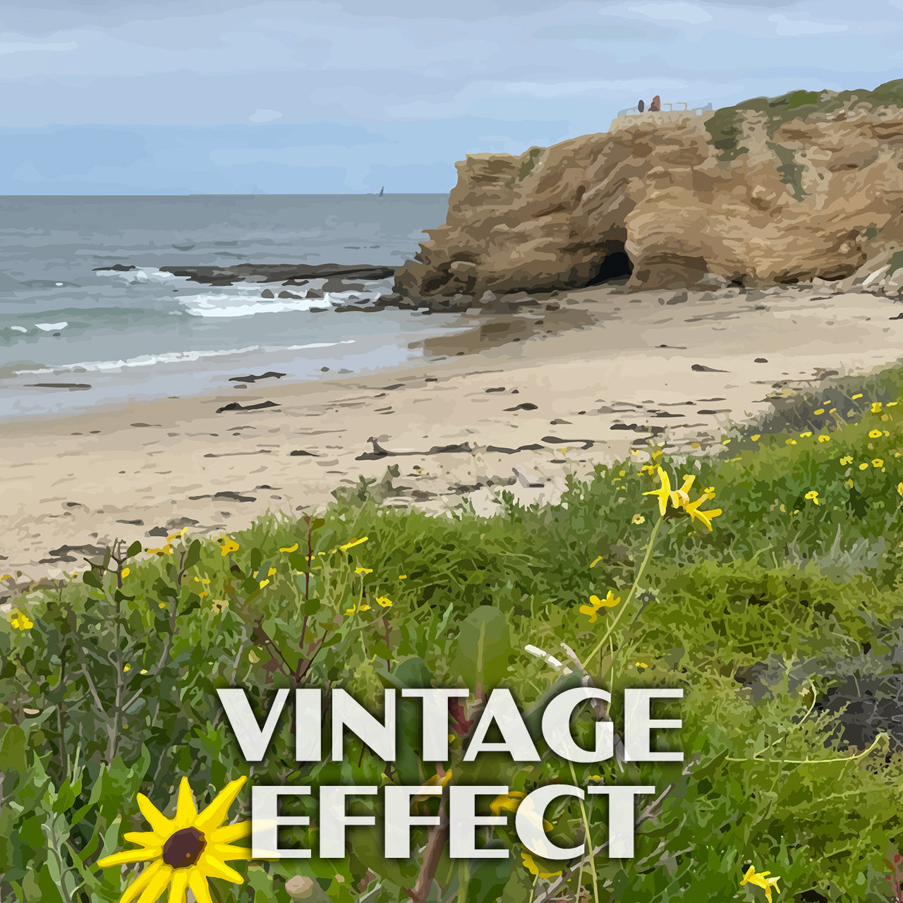 Crystal Cove State Park Poster-WPA (Yellow Flowers)