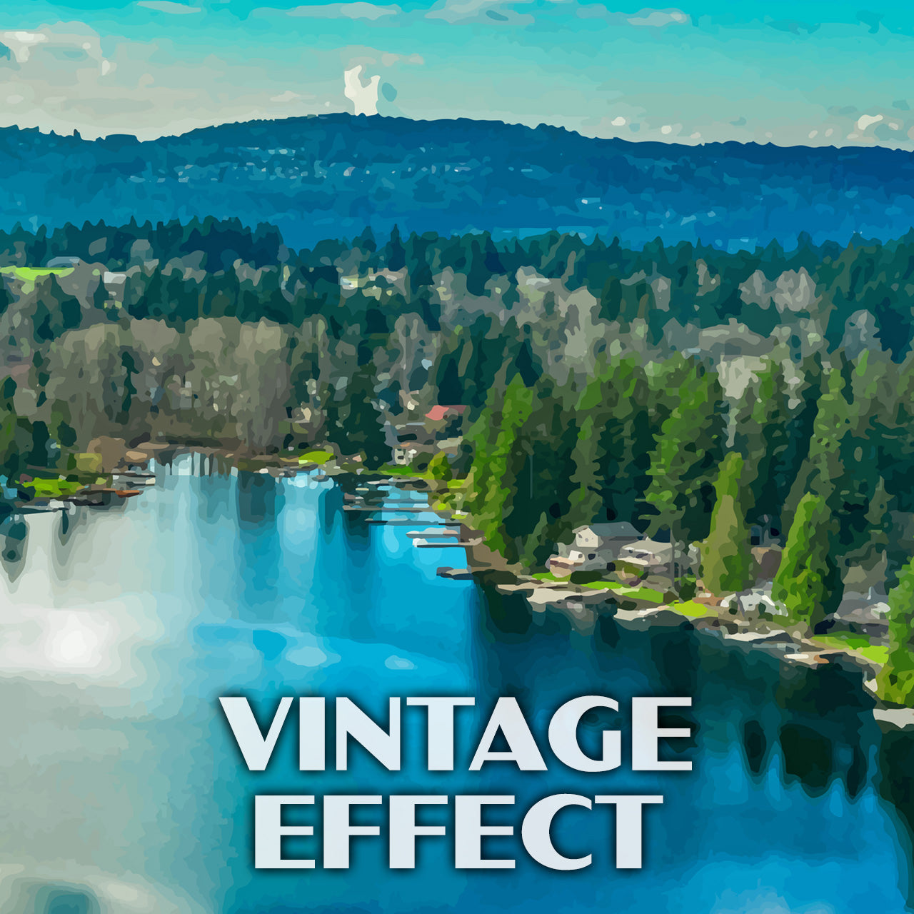 Lake Sammamish State Park Poster-WPA (Overhead View)