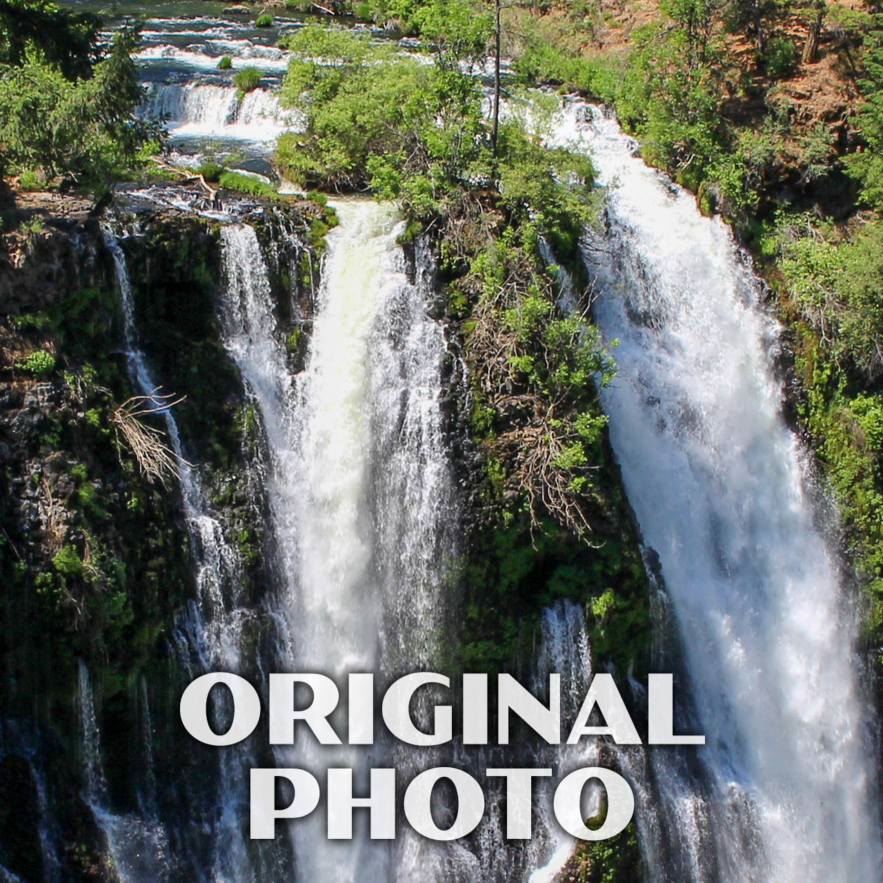 McArthur-Burney Falls State Park Poster-WPA (Forest Overlook)