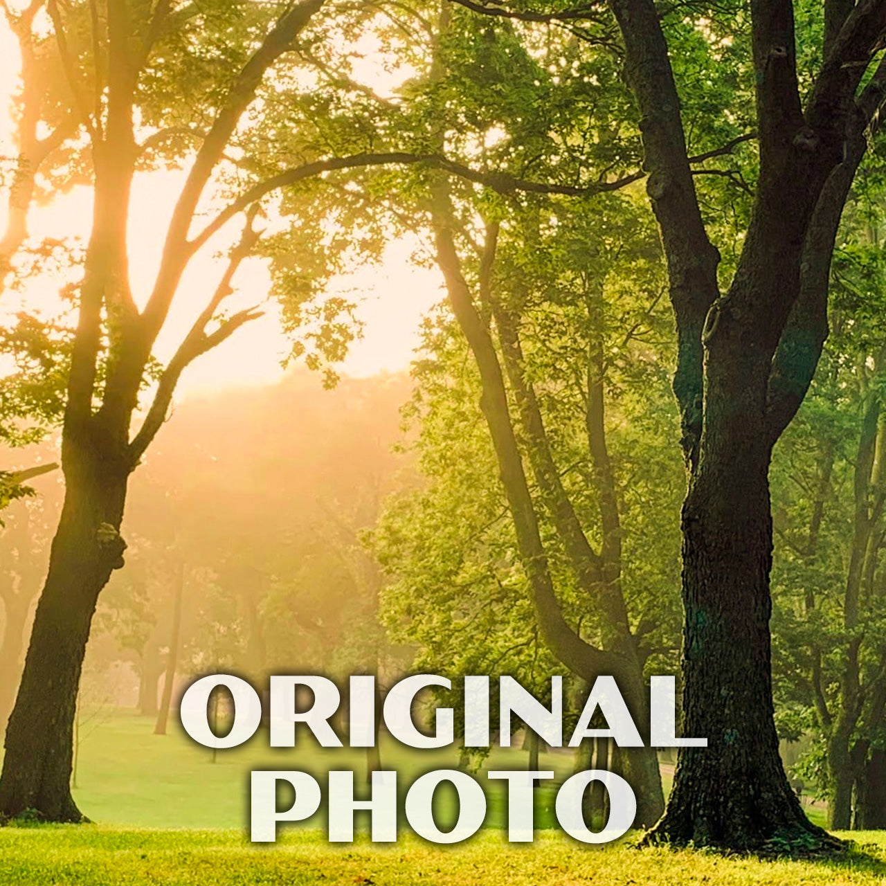 Oakwood Lakes State Park Poster-WPA (Path)