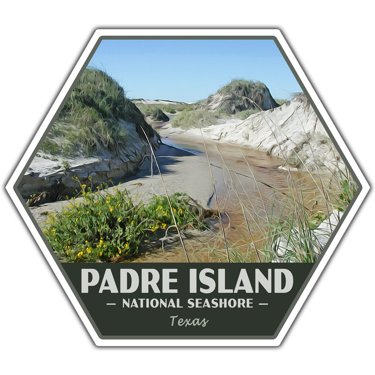 Padre Island national seashore sticker