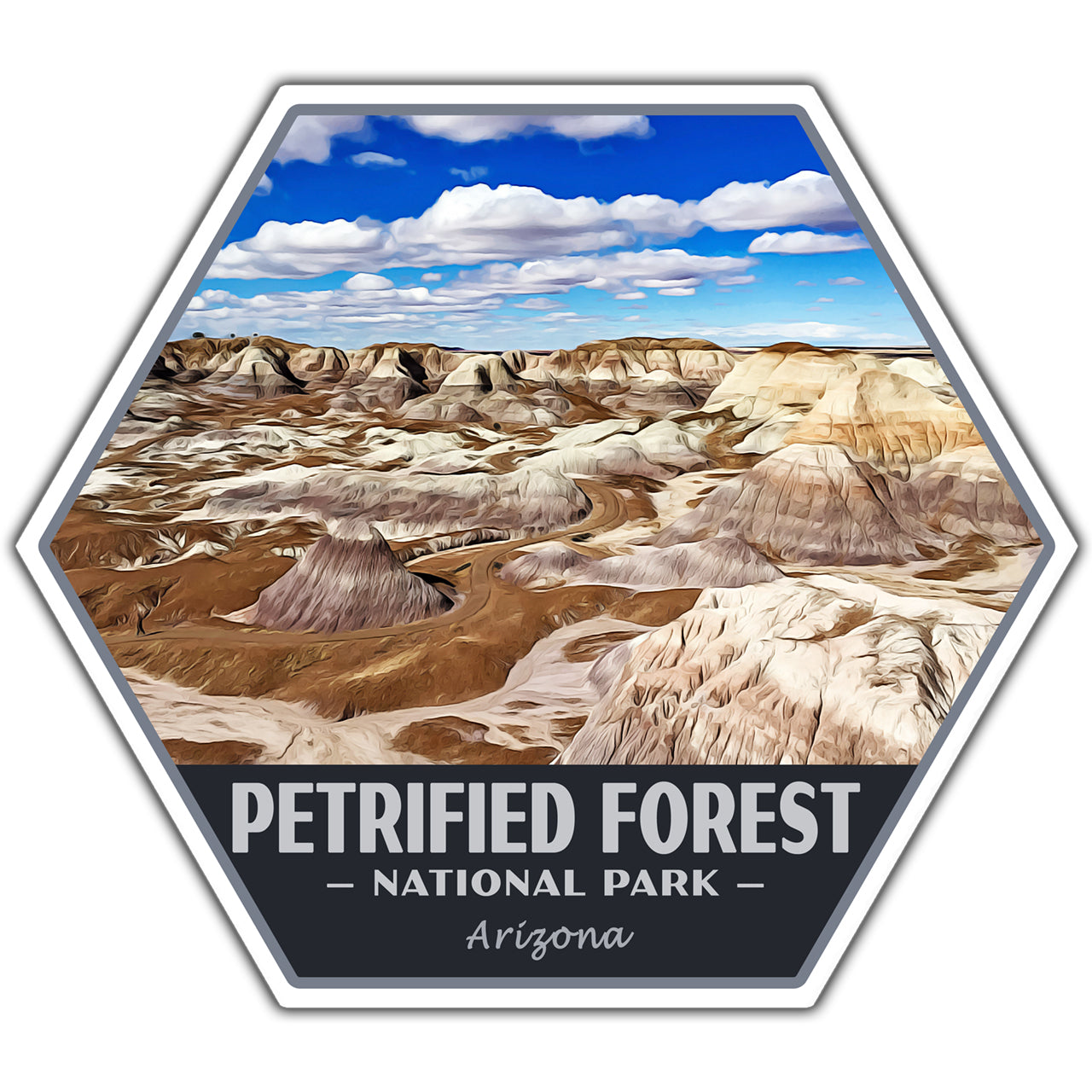 petrified forest national park sticker