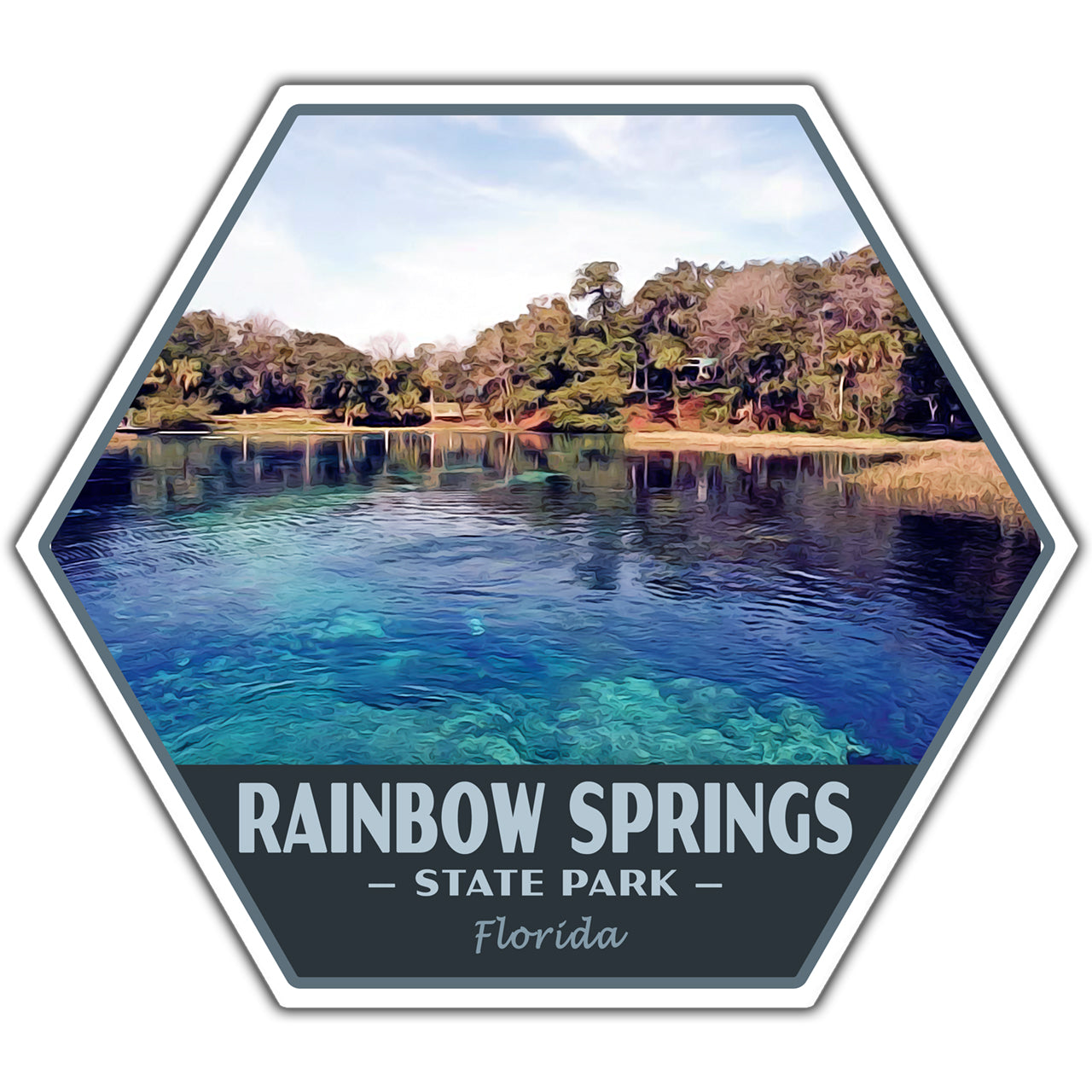 Rainbow Springs state park sticker