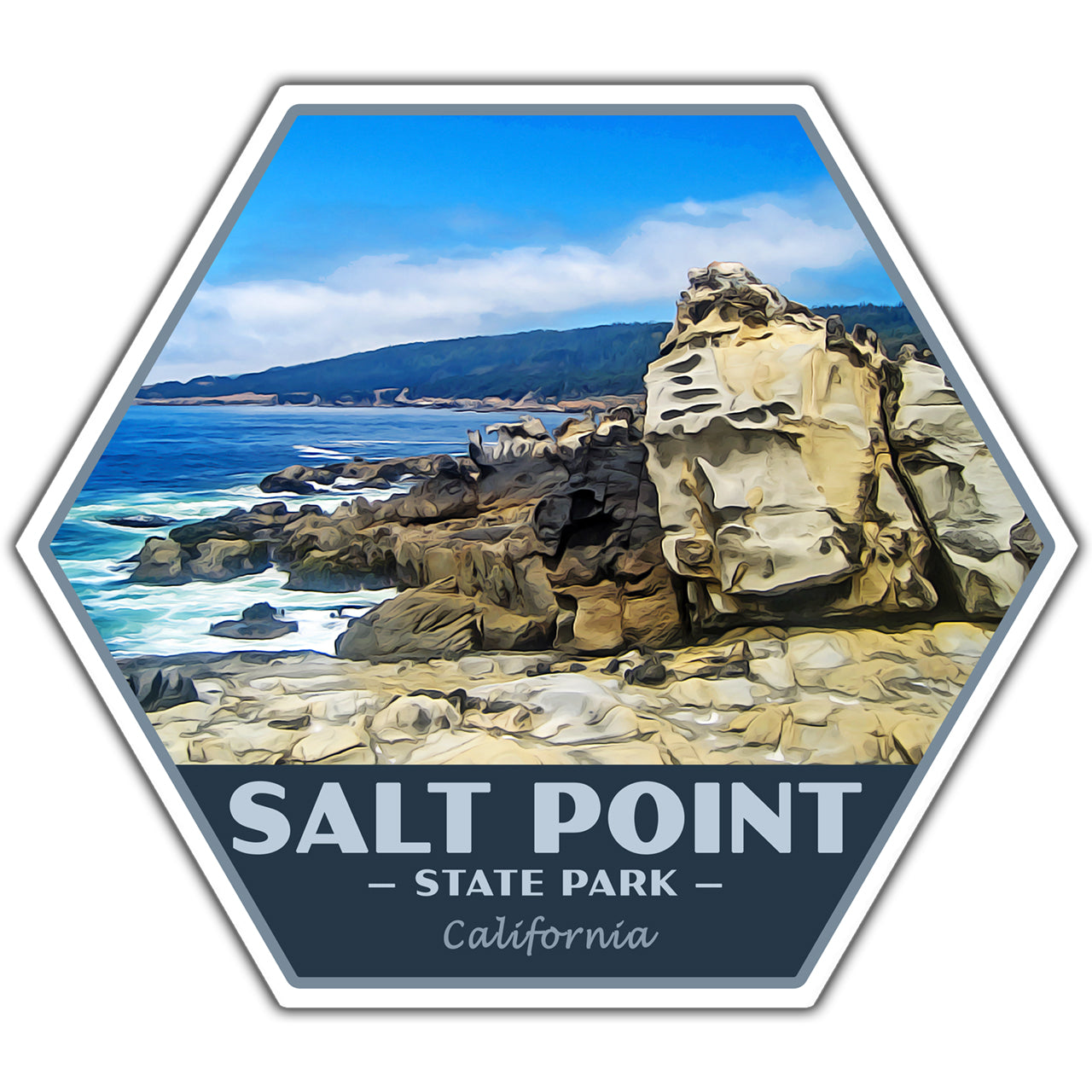 Salt Point state park sticker