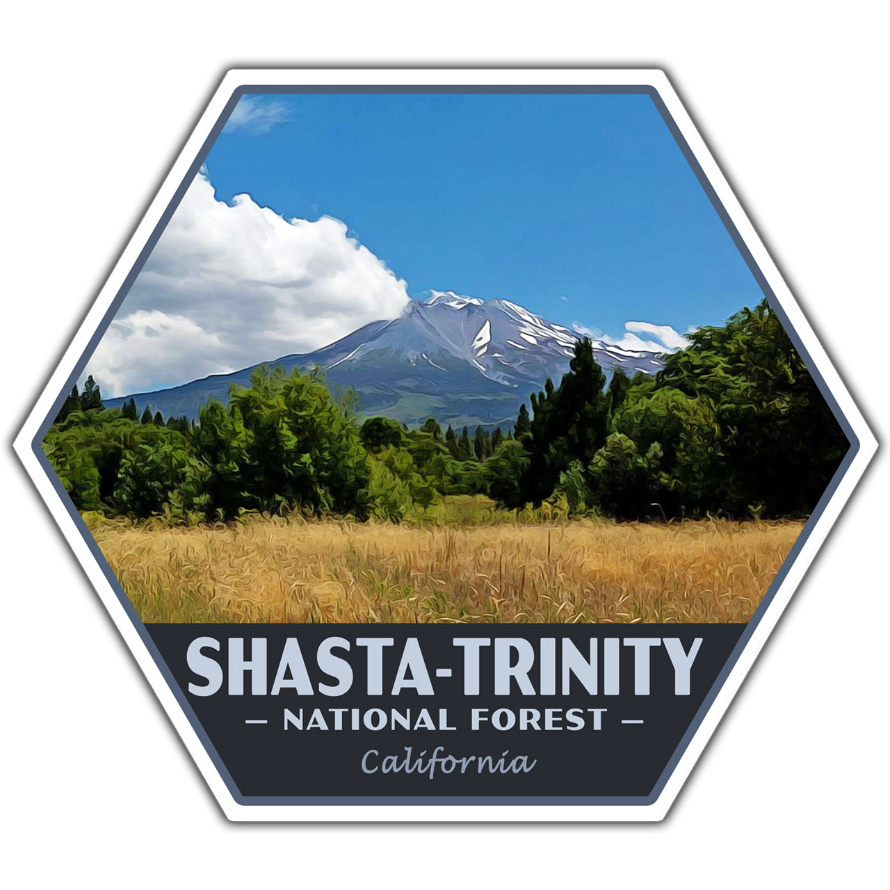 Shasta-Trinity national forest sticker