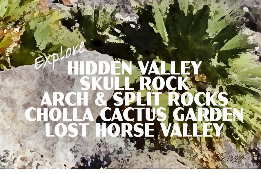 Joshua Tree National Park Poster-49 Palms Oasis