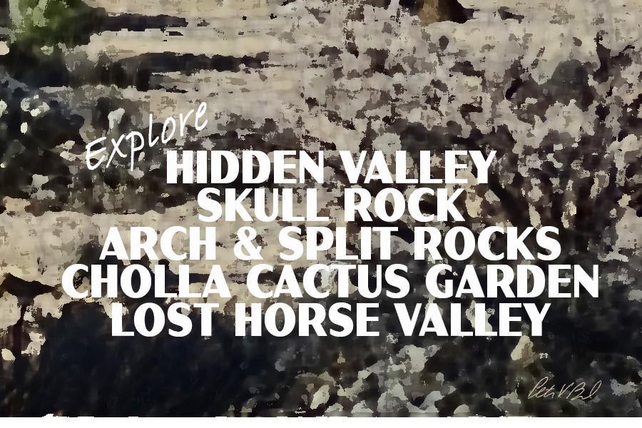 Joshua Tree National Park Poster-Barker Dam Trail