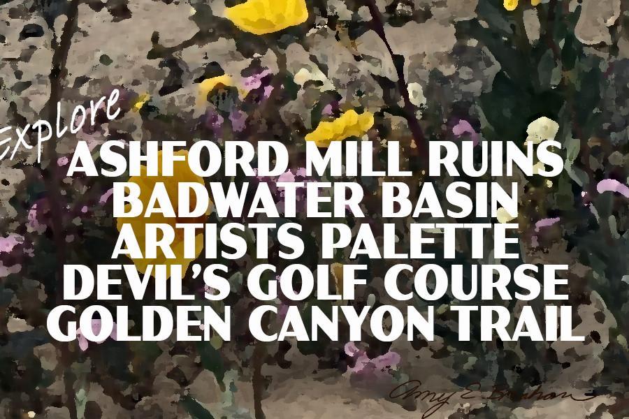 Death Valley National Park Poster-Badwater Road Wildflowers in Hills