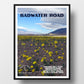 Death Valley National Park Poster-Badwater Road Wildflowers near Basin (Personalized)