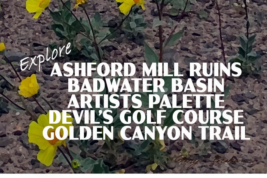 Death Valley National Park Poster-Badwater Road Wildflowers near Basin