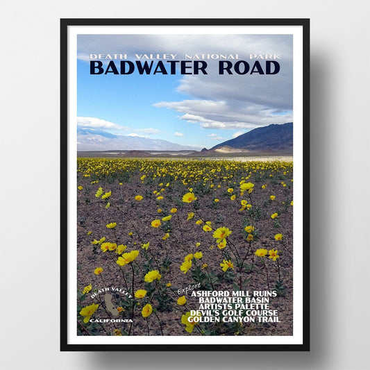 Death Valley National Park Poster-Badwater Road Wildflowers near Basin