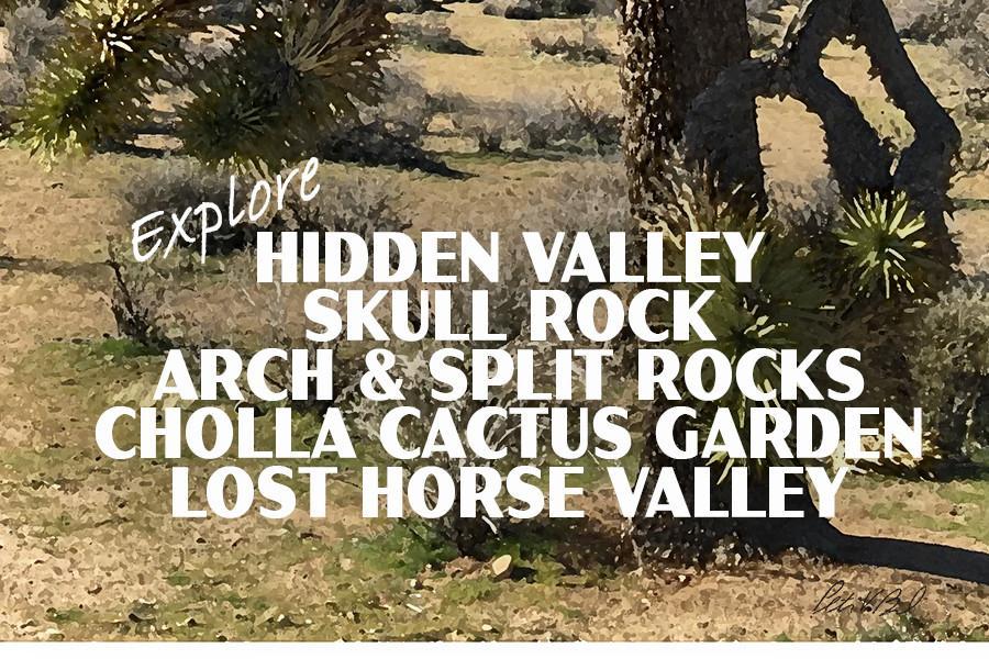 Joshua Tree National Park Poster-Hall of Horrors