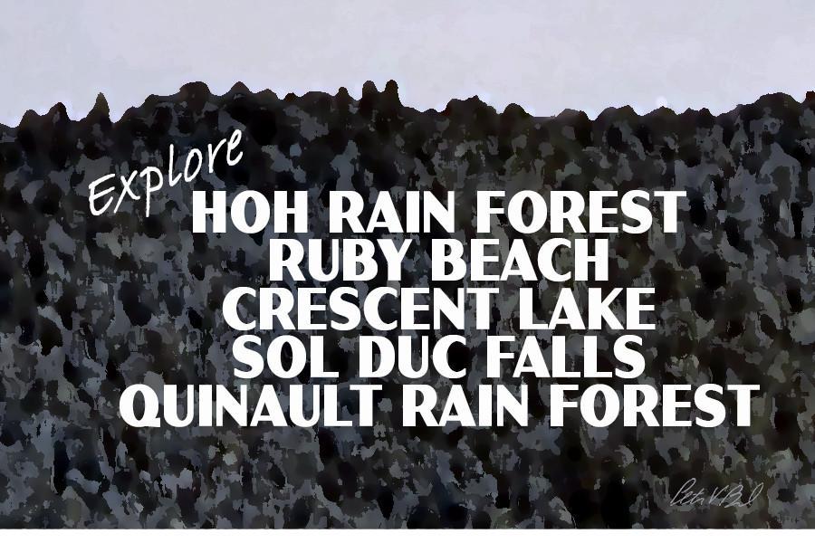 Olympic National Park Poster-Hurricane Ridge in the Clouds