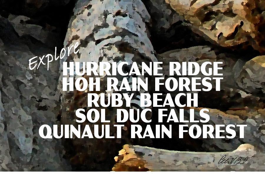 Olympic National Park Poster-Kalaloch Beach