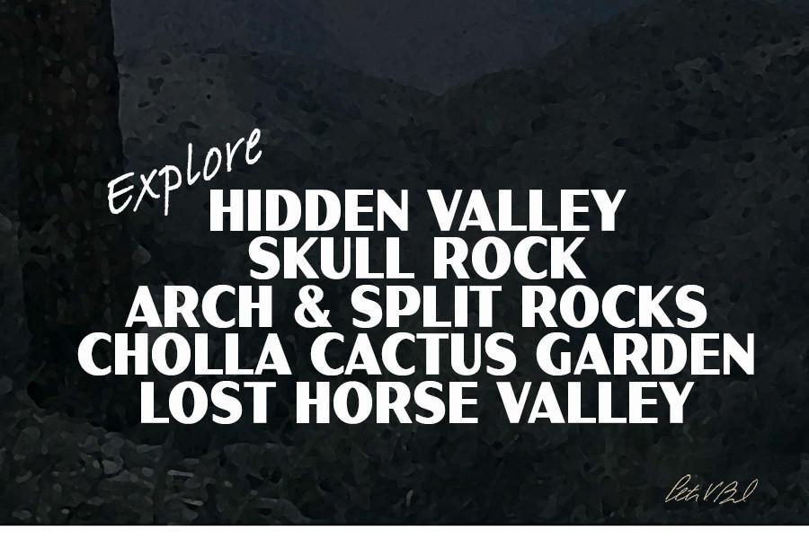 Joshua Tree National Park Poster-Keys View