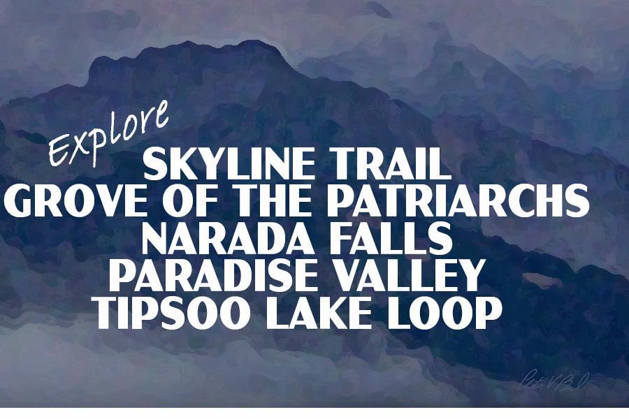 Mount Rainier National Park Poster-Mount Rainier in Winter