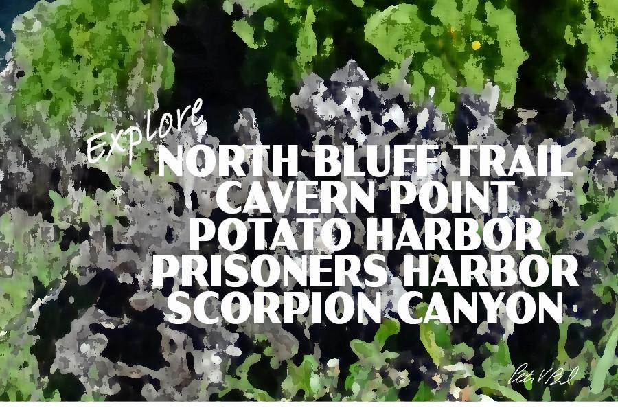 Channel Islands National Park Poster-Santa Cruz Island