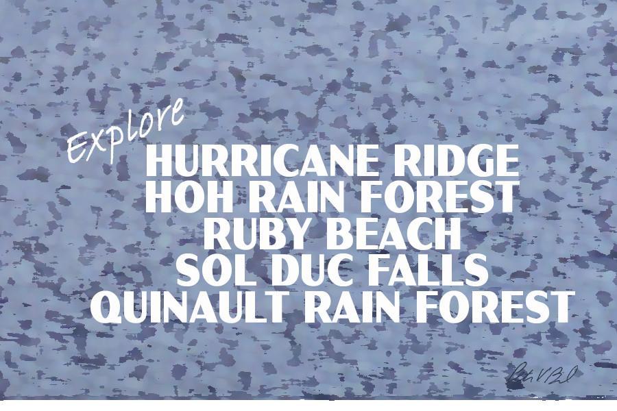 Olympic National Park Poster-Quillayute River