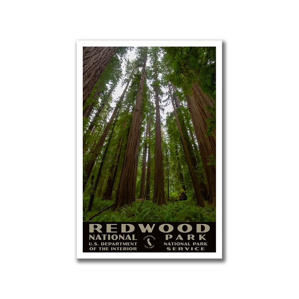 Redwood National Park Poster of Tall Trees (WPA Style)