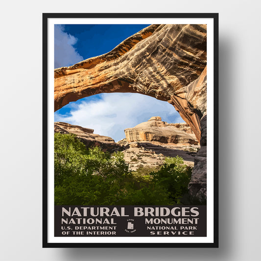 Natural Bridges National Monument Poster