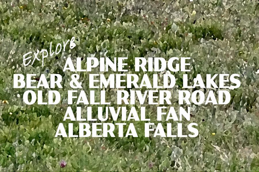 Rocky Mountain National Park Poster-Trail Ridge Road