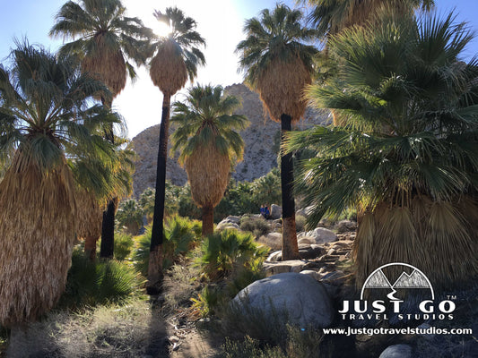 Hiking the 49 Palms Oasis Trail in Joshua Tree National Park