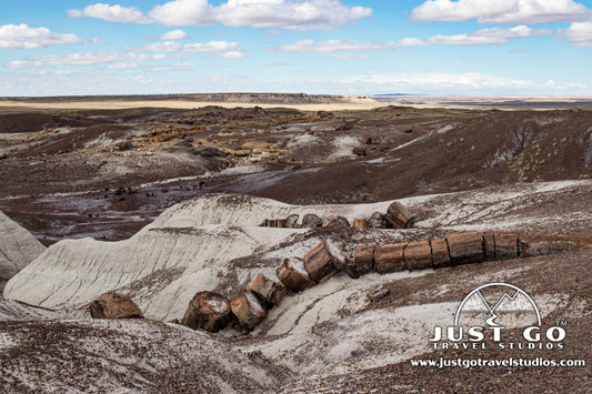 8 Reasons to Love Petrified Forest National Park