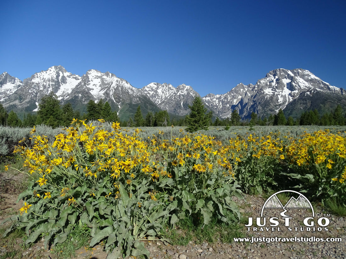 Ask Andrew - Grand Teton National Park