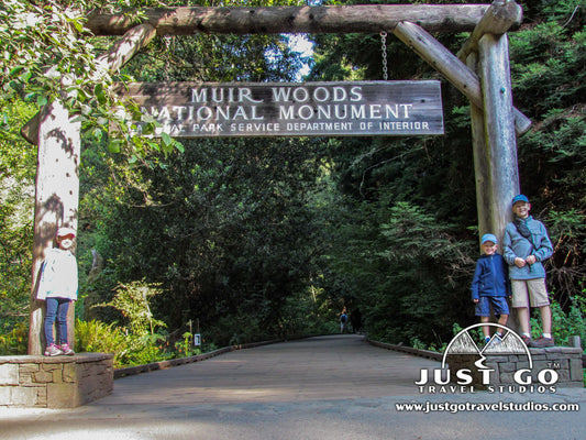 Muir Woods National Monument - A Morning of Hiking and Exploring