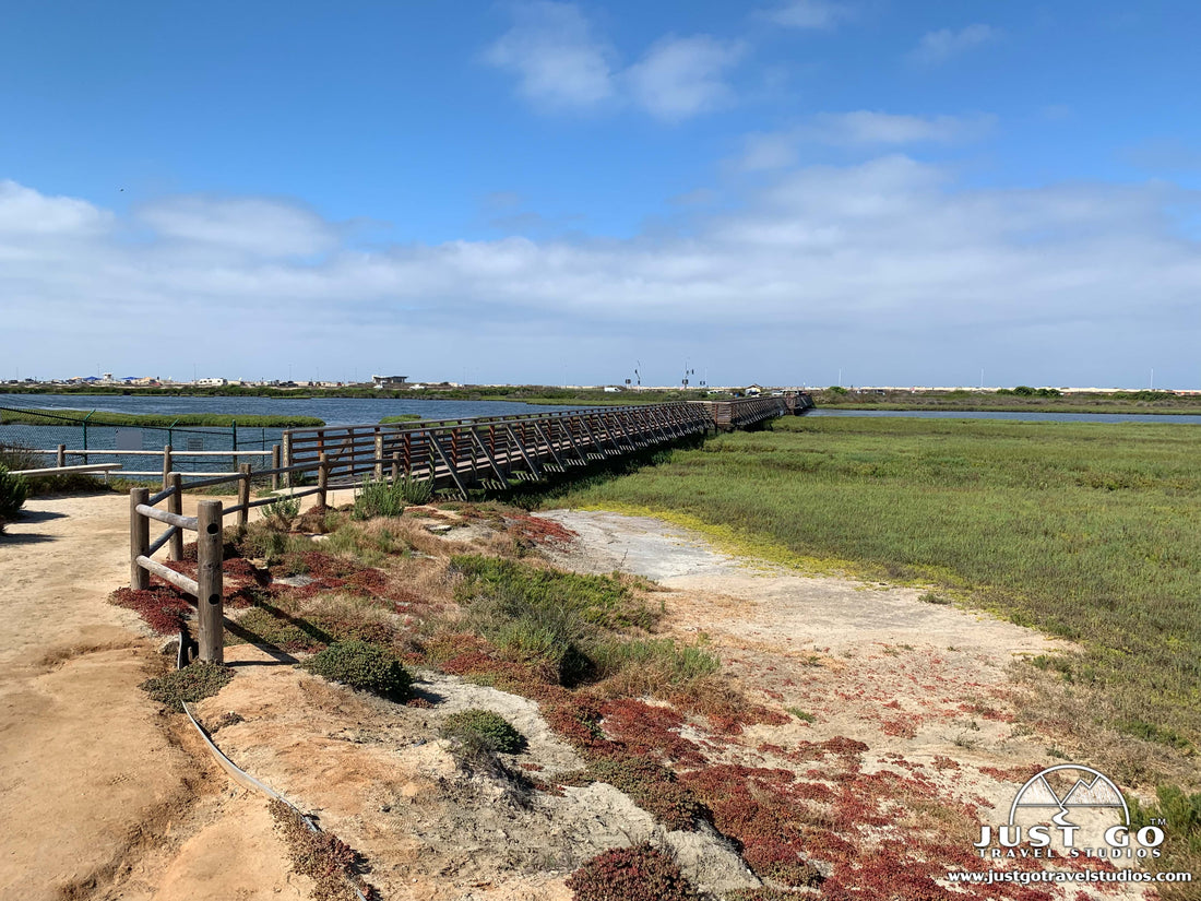 Boardwalk at Bolsa Chica State Ecological Reserve