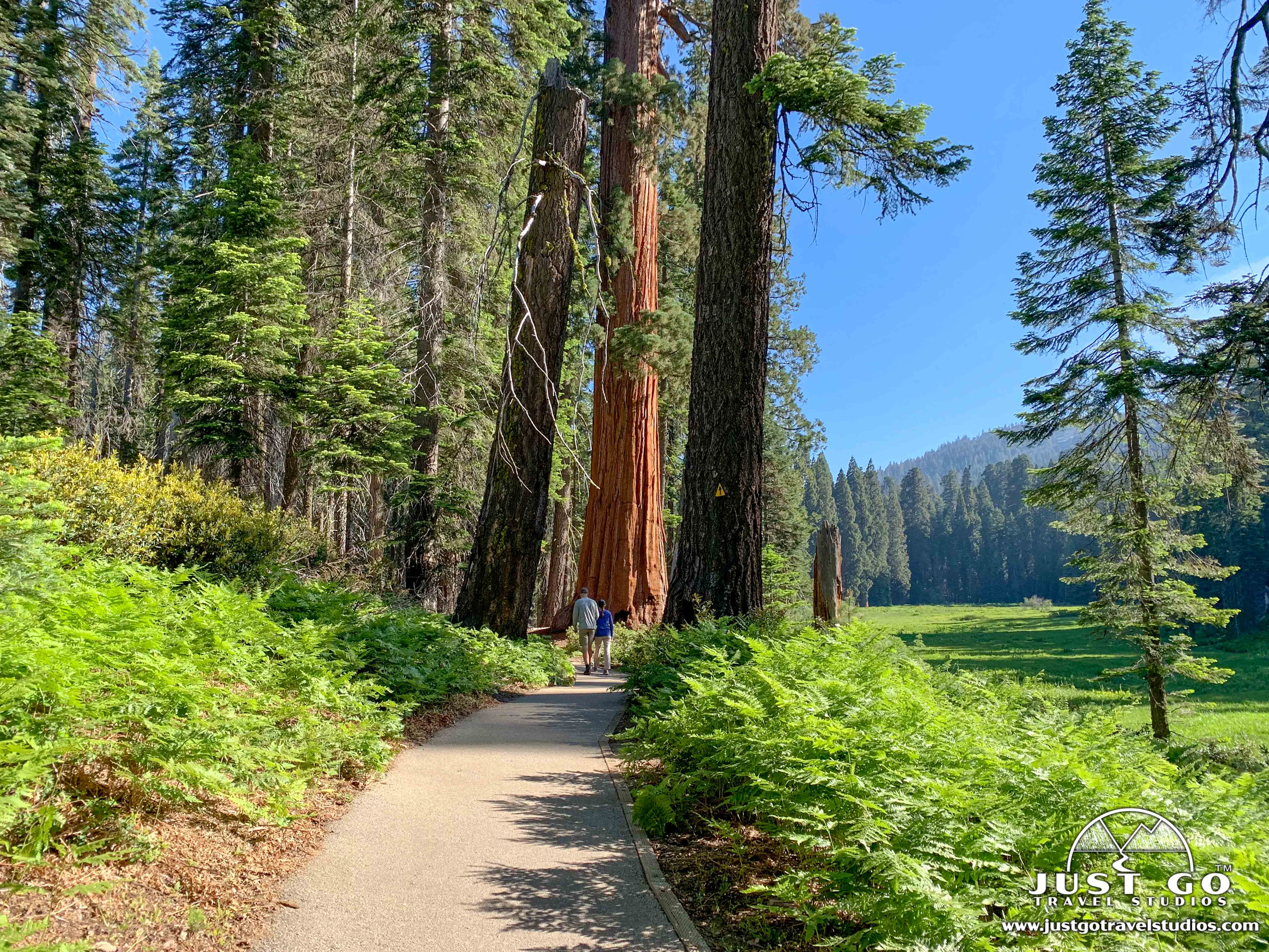 Sequoia National Park Address