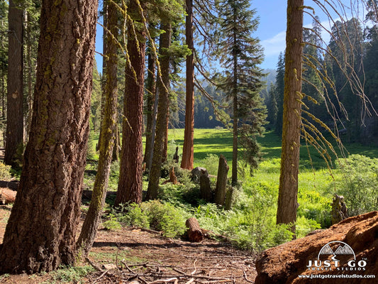 Crescent Meadow in Sequoia National Park