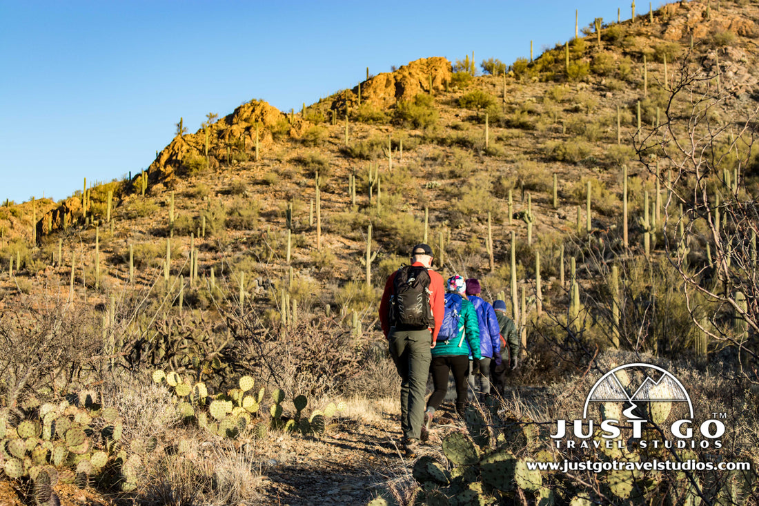 Hikers at Saguaro National Park