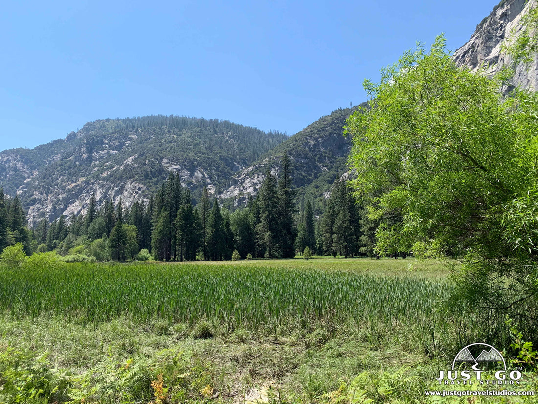 Zumwalt Meadow in Kings Canyon National Park