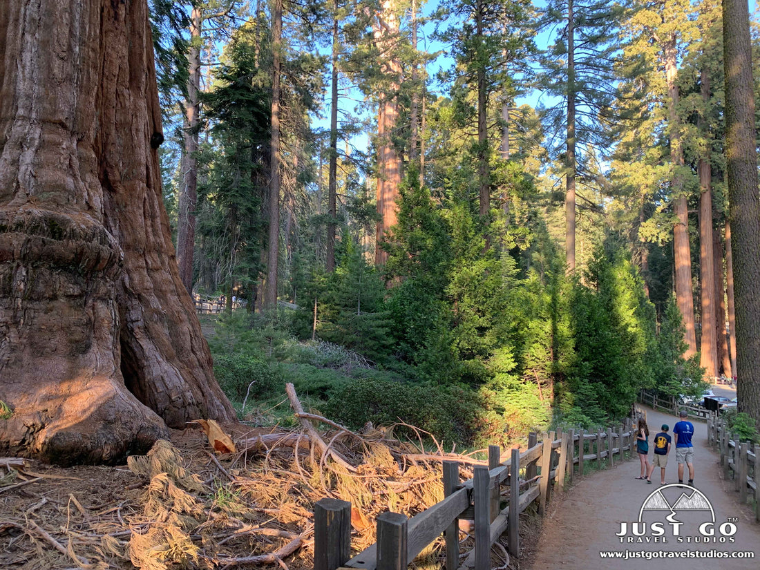 Hiking in Grant Grove in Kings Canyon National Park