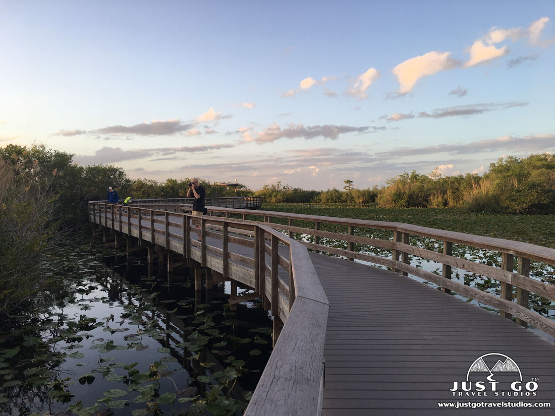 Anhinga Trail in Everglades National Park