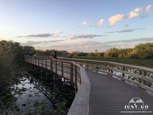 Anhinga Trail in Everglades National Park
