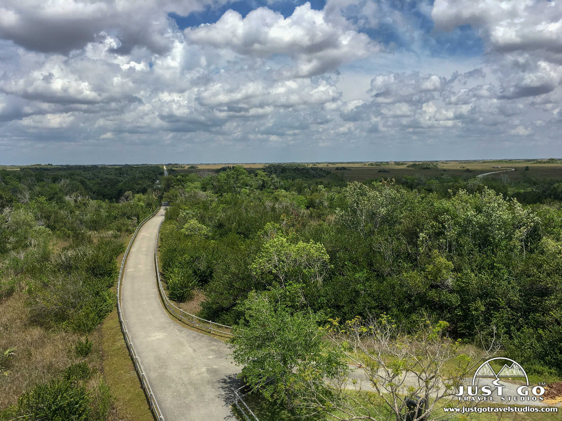 Shark Valley in Everglades National Park