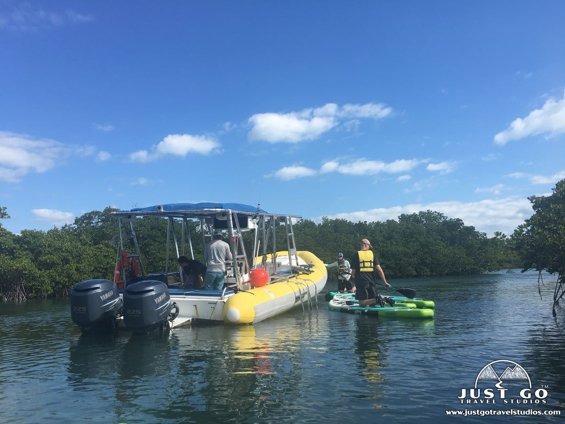 paddleboard tour at biscayne national park