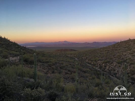 Gould Mine Trail in Saguaro National Park