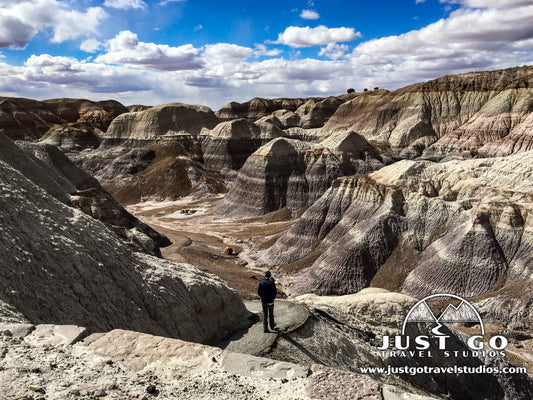 Petrified Forest National Park Blue Mesa Trail Hiking