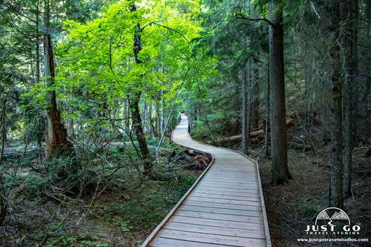 Trail of the Cedars in Glacier National Park