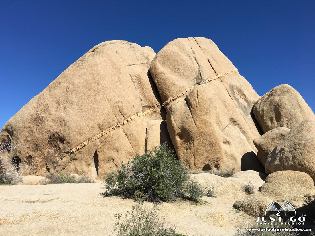 Rock in Joshua Tree National Park