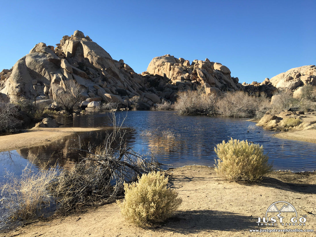 barker dam nature trail in joshua tree national park