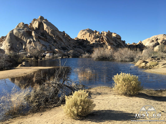 barker dam nature trail in joshua tree national park